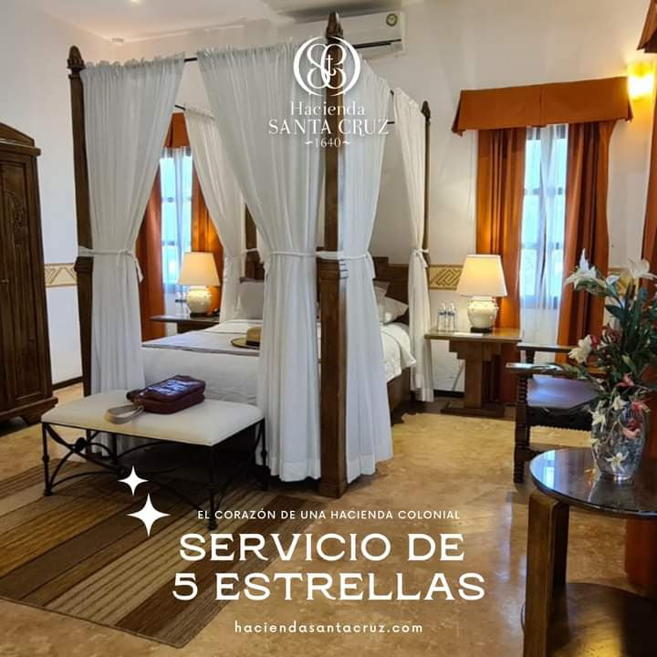 habitación deluxe, 1 cama queen size