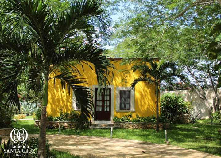 habitación deluxe, 1 cama queen size