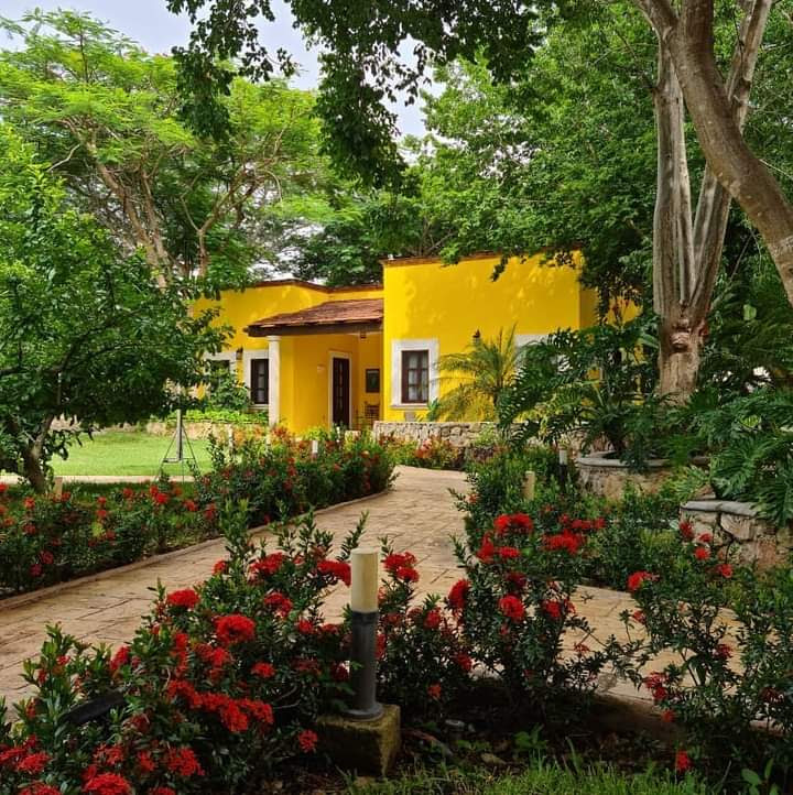 habitación deluxe, 1 cama queen size