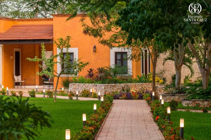 habitación deluxe, 1 cama queen size