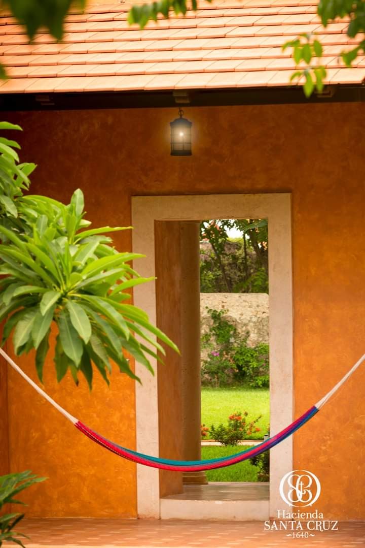 habitación deluxe, 1 cama queen size