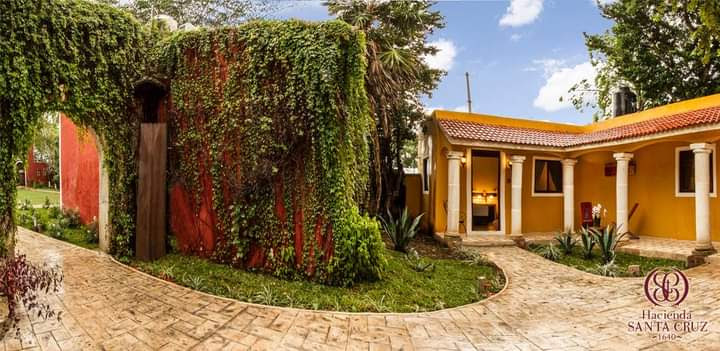 habitación deluxe, 1 cama queen size